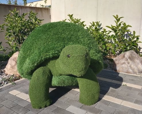 Tartaruga