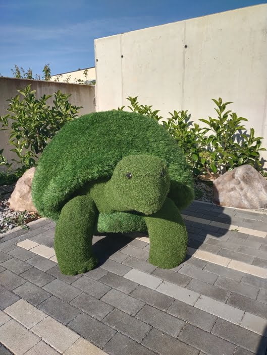 Tartaruga