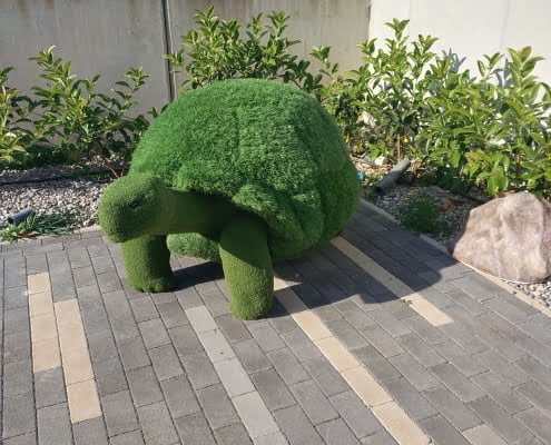 Tartaruga