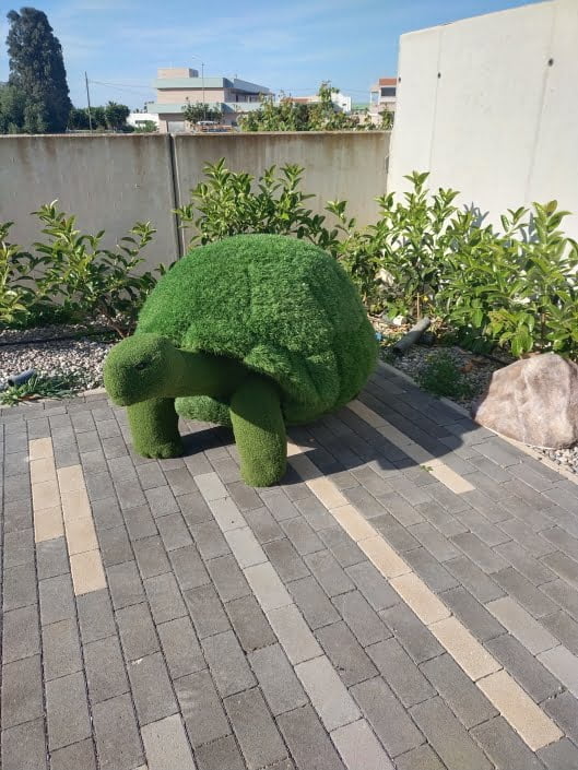 Tartaruga
