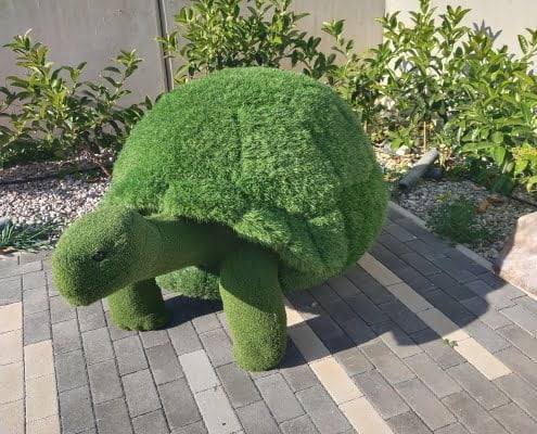Tartaruga
