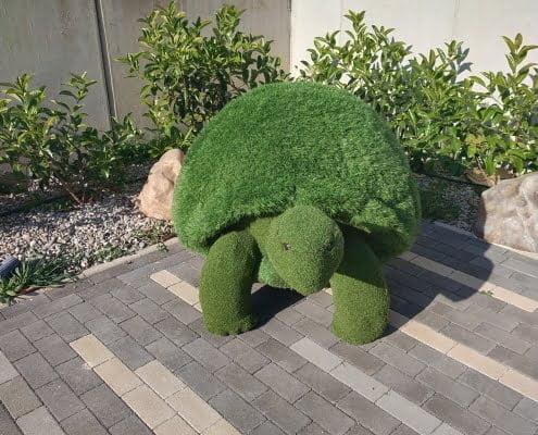 Tartaruga
