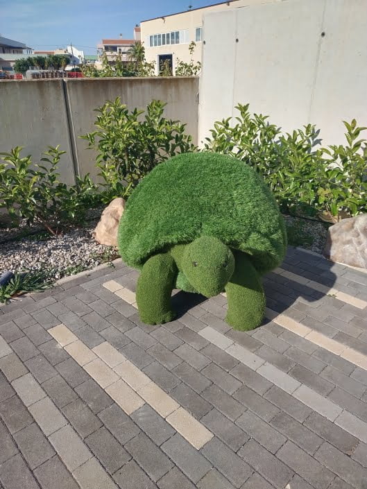 Tartaruga
