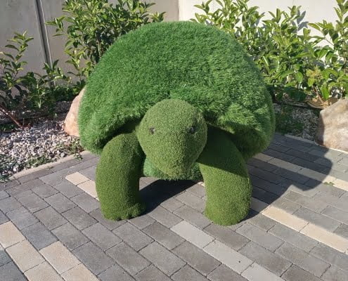 Tartaruga