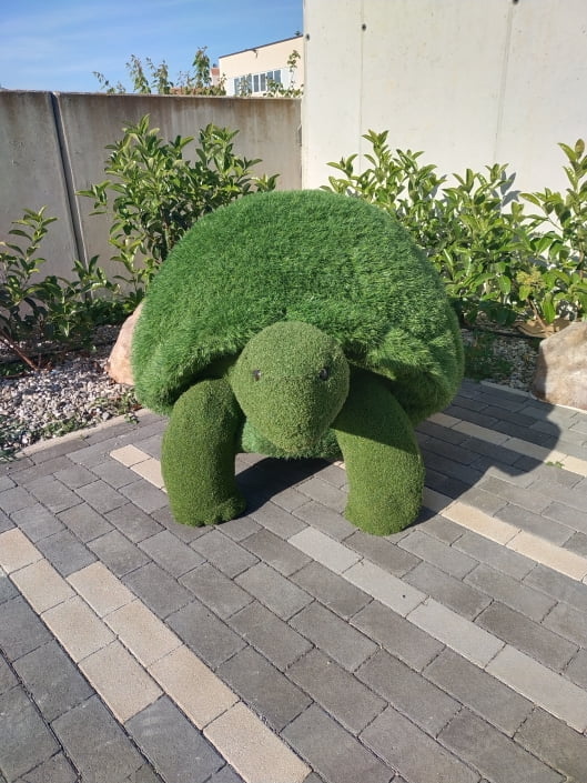 Tartaruga