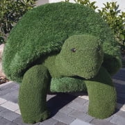 Tartaruga