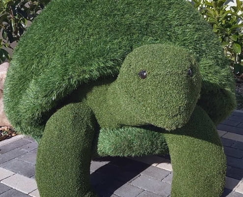 Tartaruga