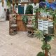 portalistino jungle